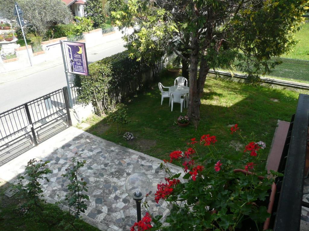 Certe Notti Bed & Breakfast Pisa Exterior photo